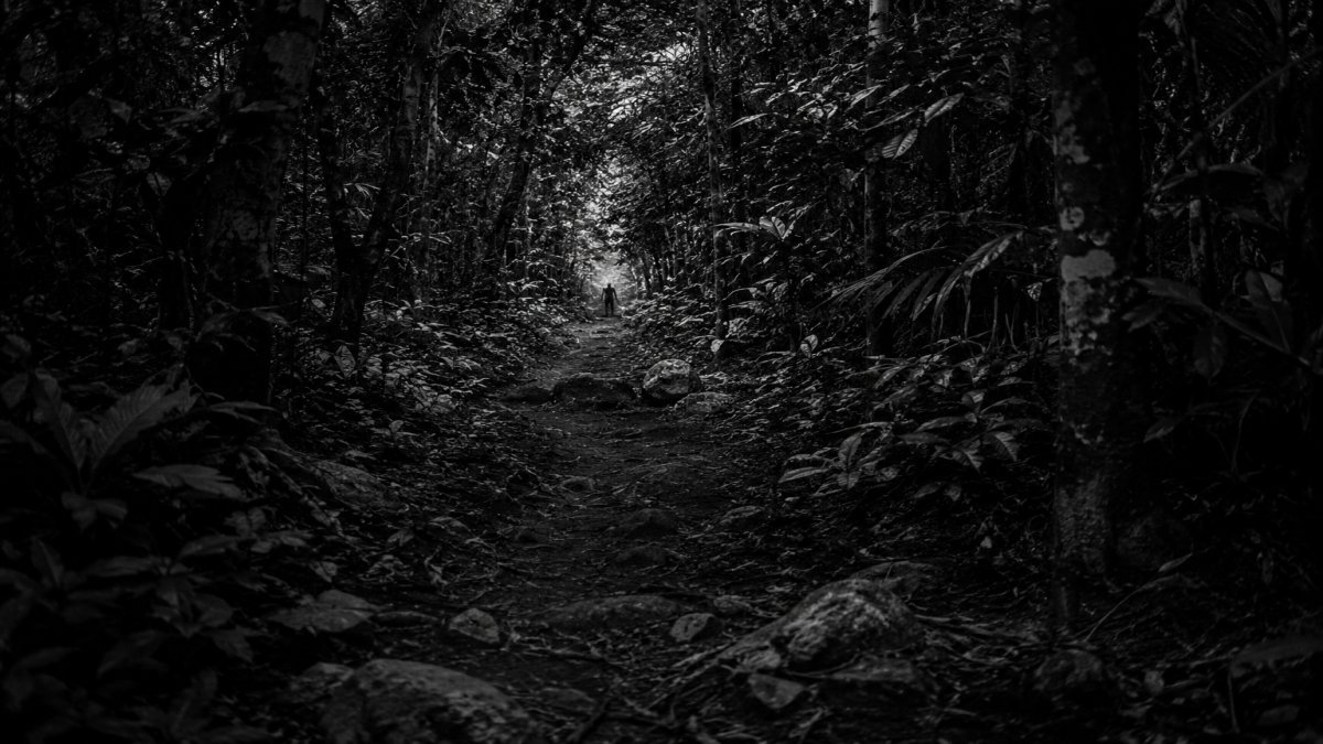 Los Aluxes de Yucatán: guardianes invisibles que aún inquietan la selva