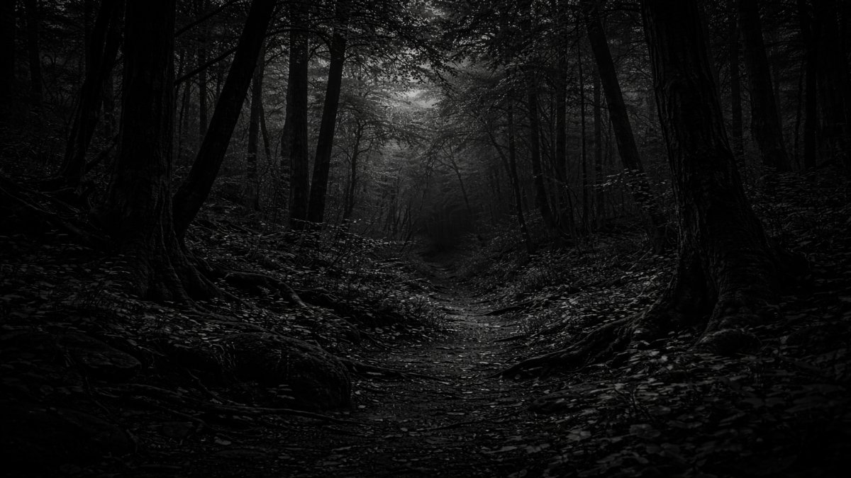 El bosque donde entrar es fácil… pero salir parece depender de algo más que el camino