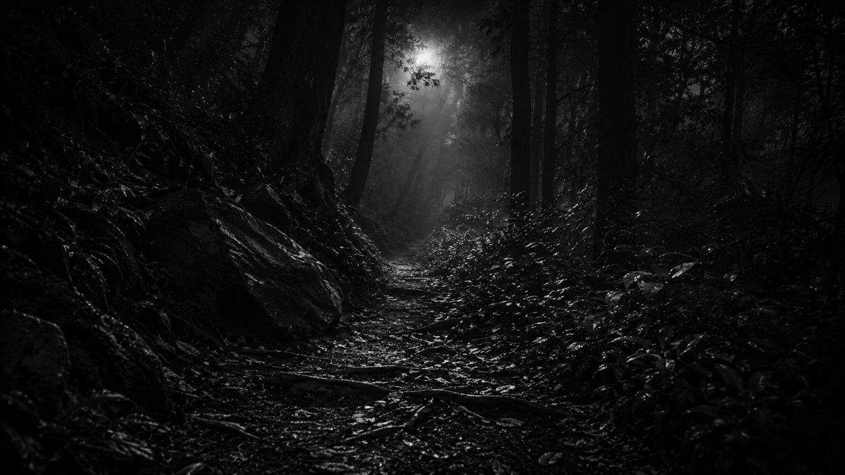 Un eco en la oscuridad: el misterio de escuchar mi nombre susurrado