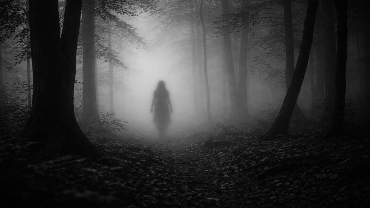 La mujer que camina entre la niebla del bosque y nunca se acerca del todo