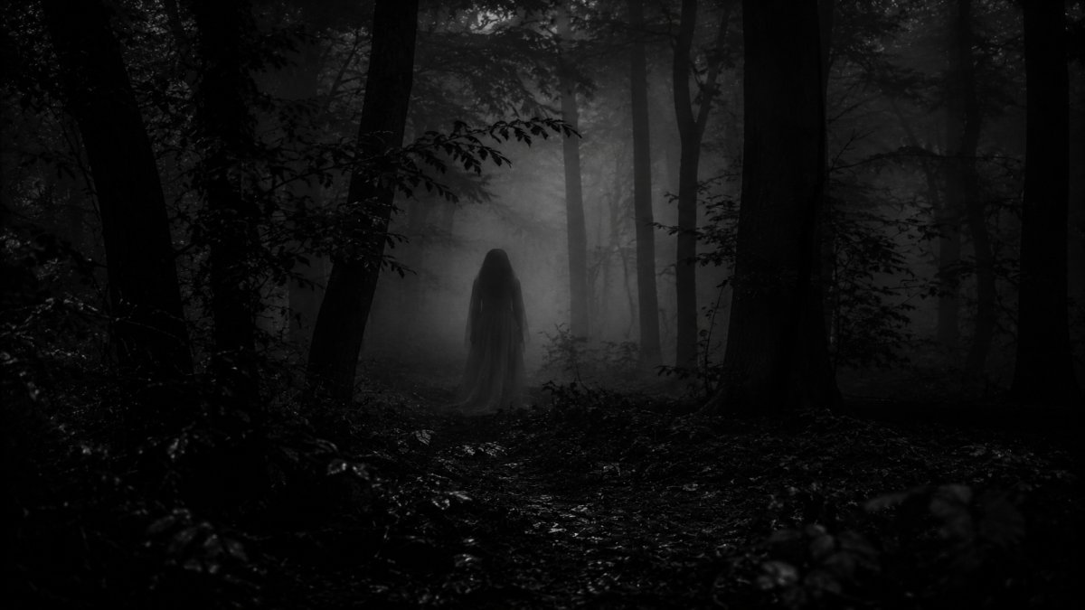 Descubriendo las señales ocultas: conéctate con aquellos que ya no están