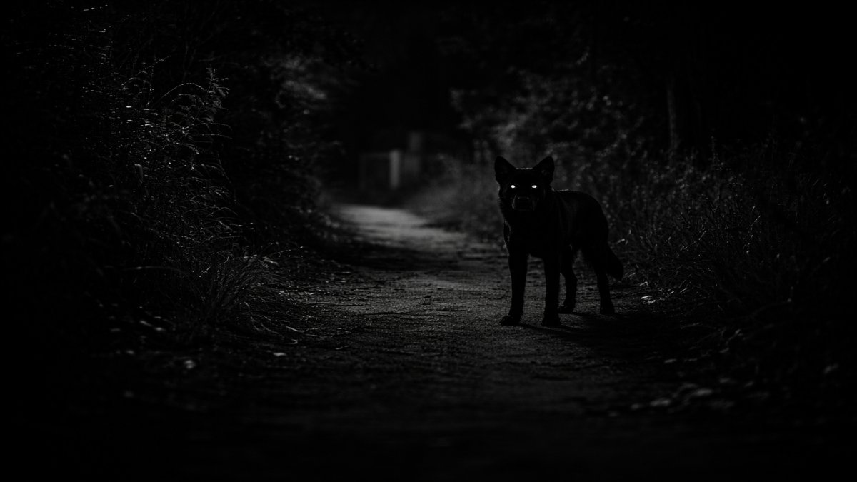 Escuché al Uay Pek en la noche… y entendí por qué nadie quiere verlo de frente